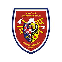 HZS MSK