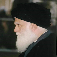 اضواء على ثورة الحسين