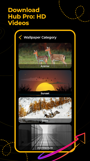 Download Hub Pro: HD Videos Screenshot 2
