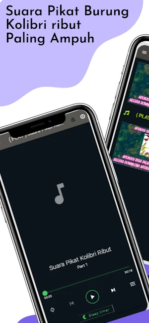 Suara Pikat Kolibri Ribut Screenshot 0