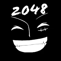 2048 D Evolution