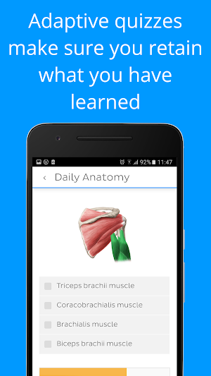 Daily Anatomy: Flashcard Quizzes to Learn Anatomy Screenshot 2