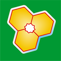 BUM Digital