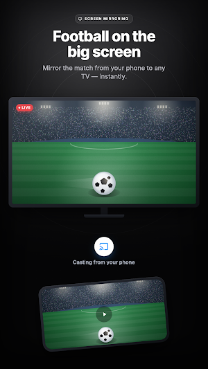 Screen Mirroring & CastConnect Screenshot 0