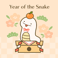 Year of the Snake Theme +HOME