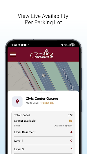 Temecula Parking Screenshot 2