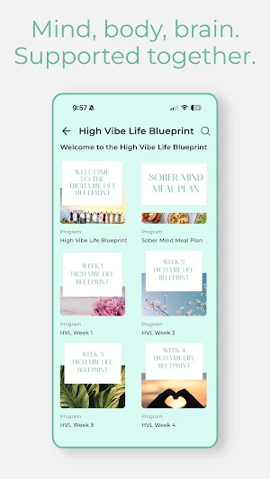 High Vibe Life Screenshot 2