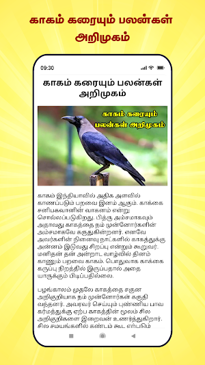 Kagam Karaiyum Palangal Screenshot 0
