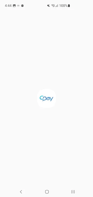 CPay Invoices Screenshot 0