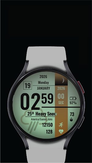 Industrial Data Watch Face Screenshot 3