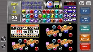 Video Bingo Mega Ball Flex Screenshot 3