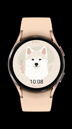 jindo cute_dog_003 Screenshot 0
