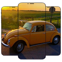 Beetle Car Wallpaper