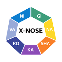 X-NOSE AIR