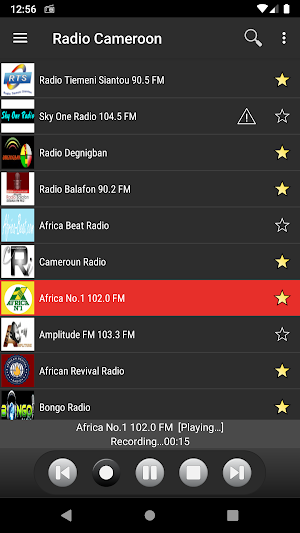 RADIO CAMEROON Screenshot 3