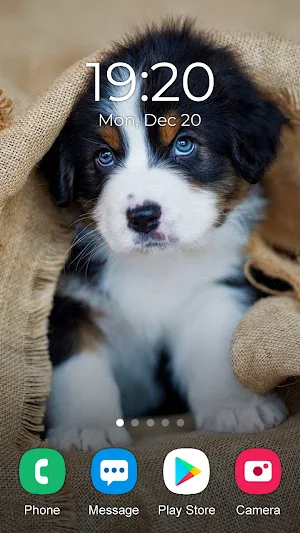 Puppy Wallpaper 2023 Screenshot 2