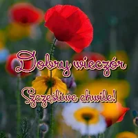Dobry wieczór