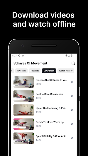Schayes Of Movement Screenshot 1