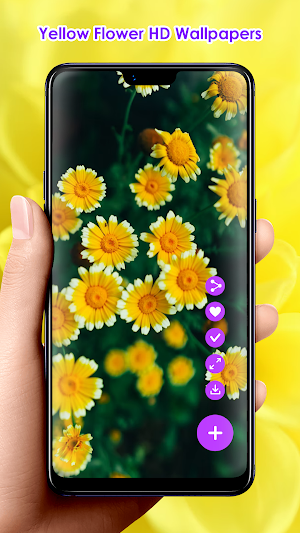 Yellow Flower HD Wallpapers Screenshot 2