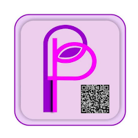 Padiepal Merchant - POS Agent