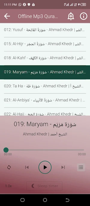 Ahmed Khedr Offline Mp3 Quran Screenshot 1