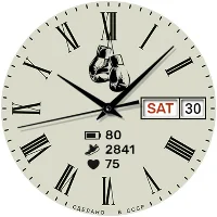 Boxer Watch
