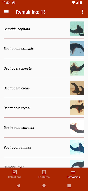 Key important fruit fly larvae Screenshot 3