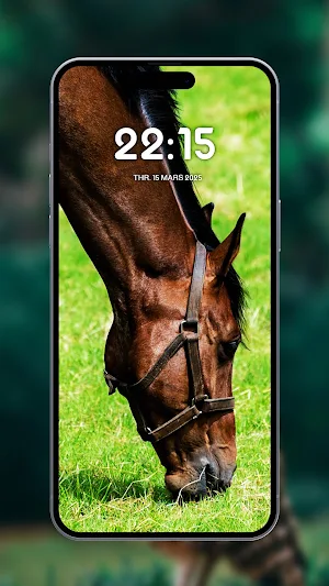 Horses Wild wallpapers Screenshot 0