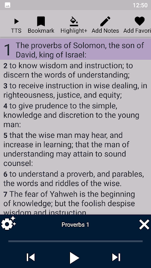 World English Bible- WEB Screenshot 2