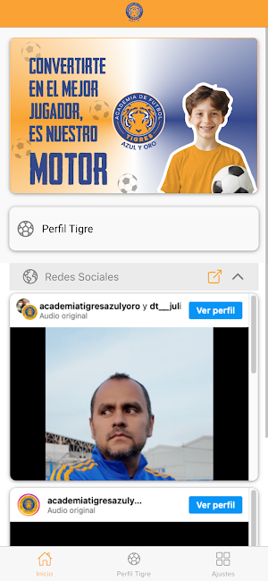 Academia Tigres Azul y Oro Screenshot 3