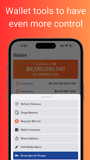 Rust: Bitcoin Wallet - BTC Screenshot 3