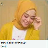 Lagu Sekali Seumur Hidup Lesti