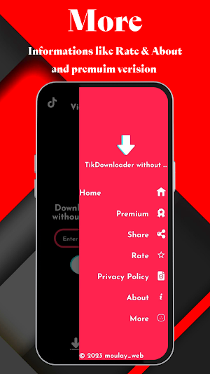 Tikdownloder no watermark Screenshot 2