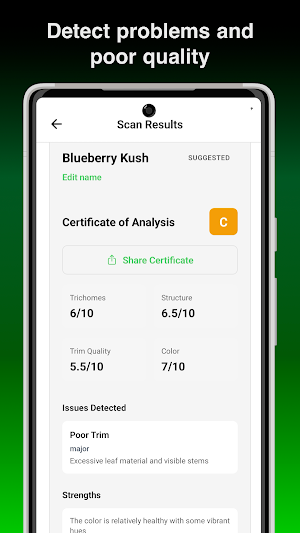 Kushy Screenshot 1