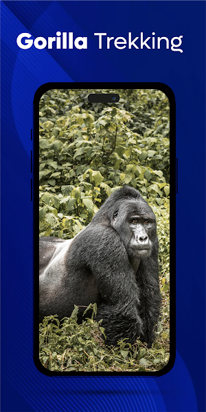 Visit Uganda Screenshot 3