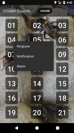 Cricket Sounds Screenshot 1