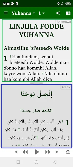 Fulfulde Dewtere Screenshot 3