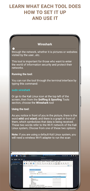 Kali Linux Tools Screenshot 2