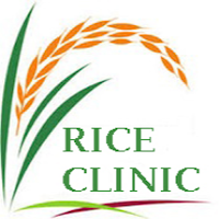 Rice Clinic