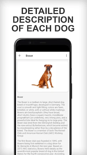 Dog Breeds - Types Of Dogs Screenshot 2