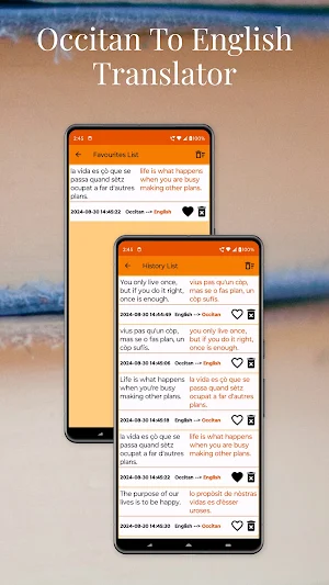 Occitan To English Translator Screenshot 3
