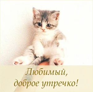 Открытки Доброе утречко Screenshot 2