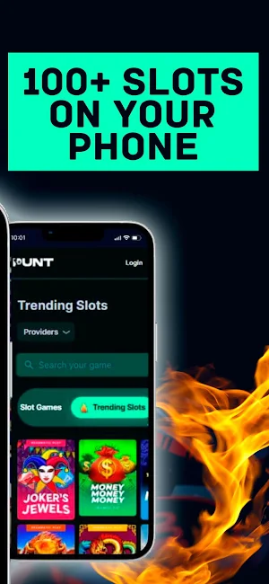 Punt casino Screenshot 3