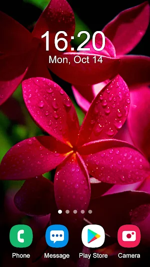 Flower Wallpaper 2024 Screenshot 2