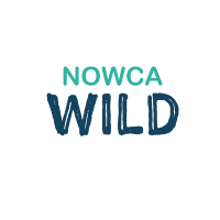 NOWCA WILD