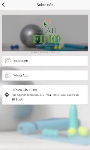 CLAUFISIO Screenshot 1