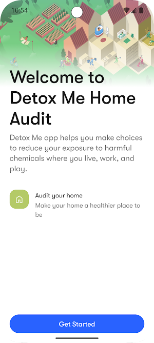 Detox Me Home Audit Screenshot 0