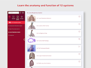 Anatomy & Physiology Screenshot 0