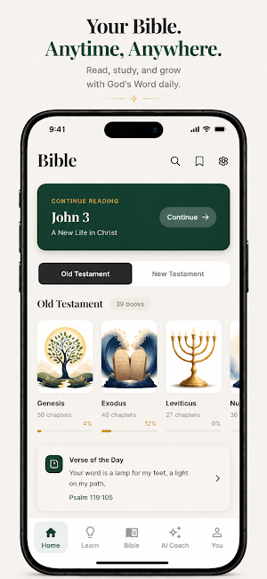 BibleWise: Learn the Bible Screenshot 0
