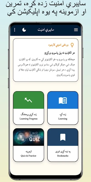 Learn Cyber Security in Pashto Screenshot 0